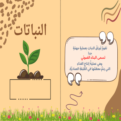 النباتات الوعائيه والاوعائيه