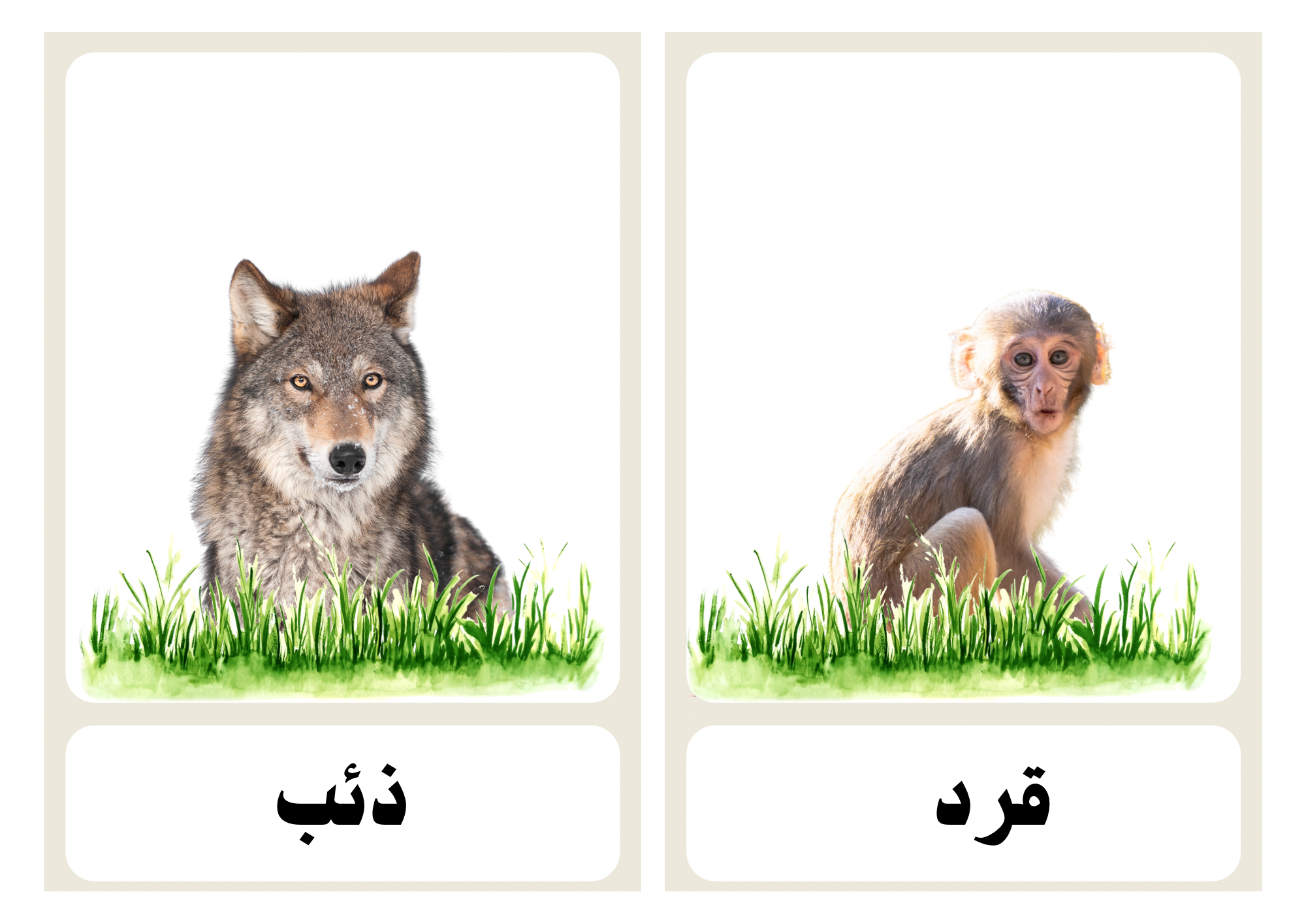 رحلتي مع الحيوانات